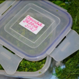 Jak zmrazím podzimní zeleninu ze zahrady (kopr a petržel)